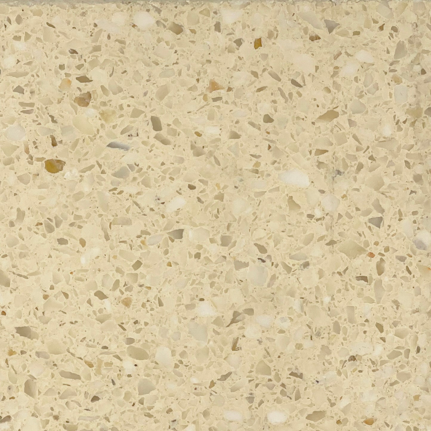 Bleached Moss Terrazzo - Small Stone Grains