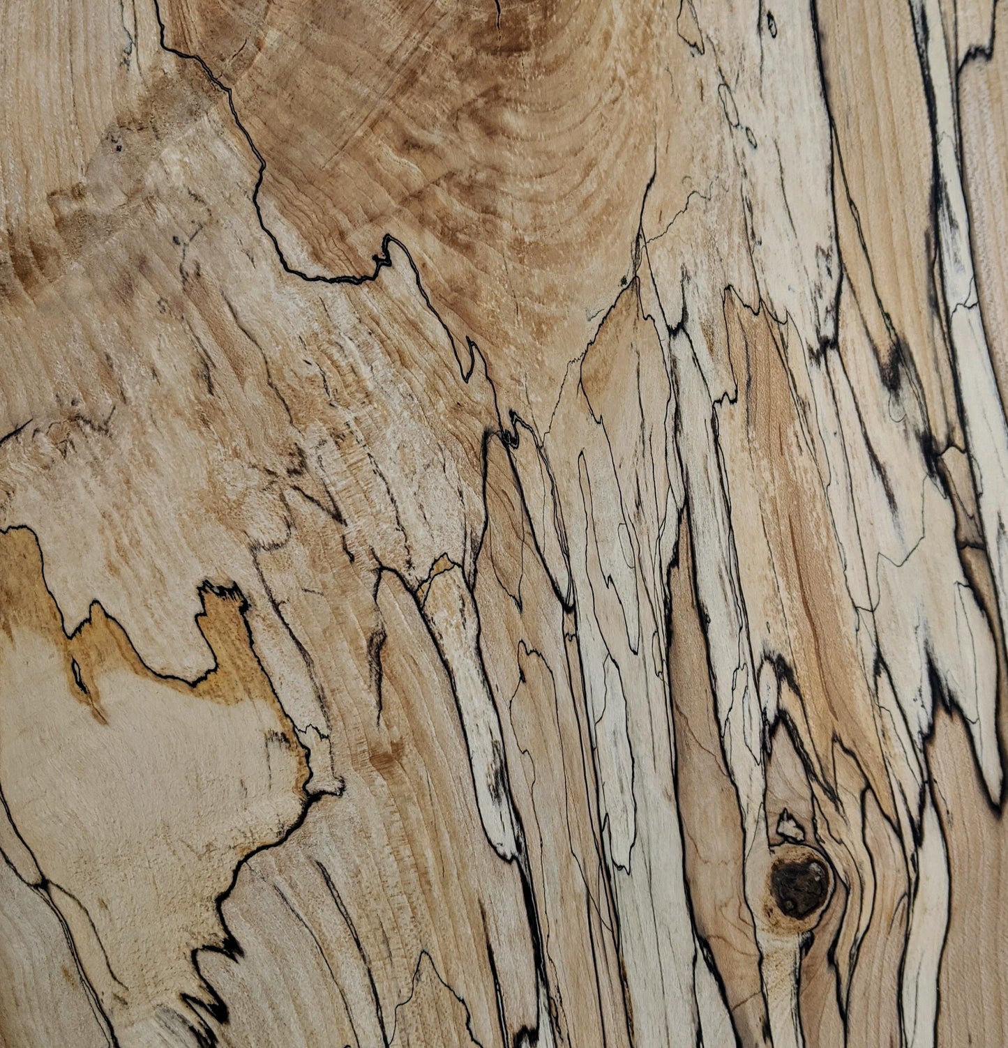 Spalted Maple Wood - Solid